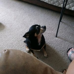 Meet your Posher, Ashley